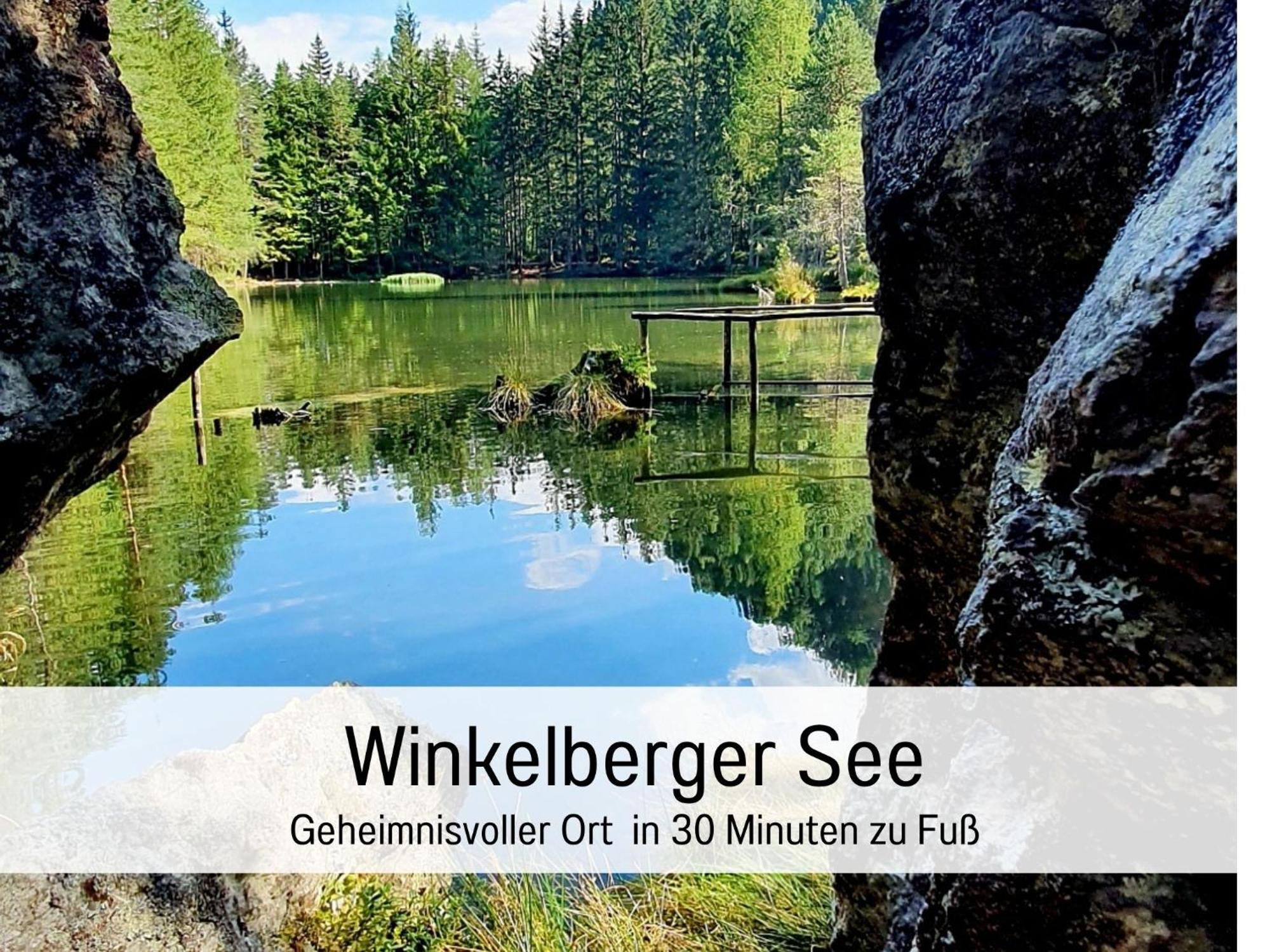 Elke'S Oetztal Apartments - Ihr Bergparadies 朗根费尔德 外观 照片